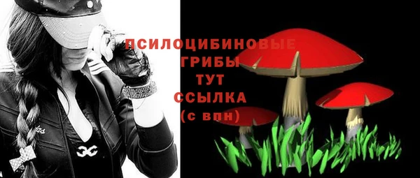 соль курить ск Алзамай