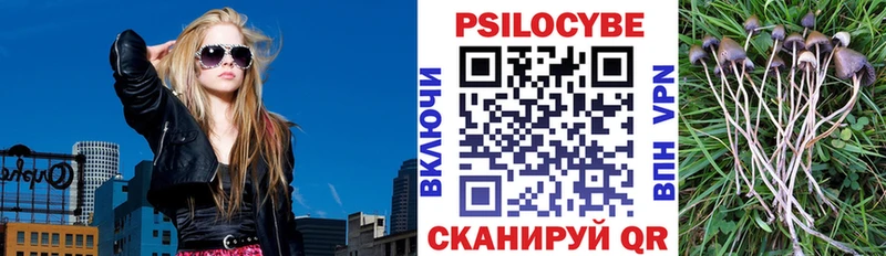 Галлюциногенные грибы мухоморы где купить наркоту Кемь